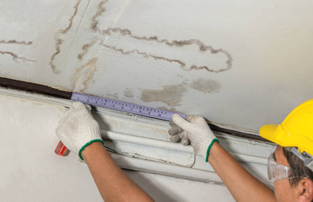 Reliable Water Damage contractor in Fort Jennings, OH by Water Damage Irwin